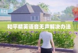 和平精英语音无声解决办法