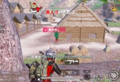和平精英【虎爪】辅助