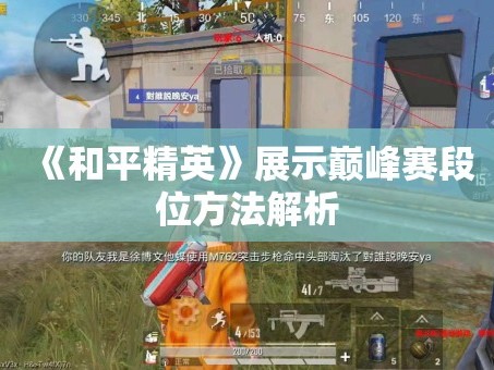 《和平精英》展示巅峰赛段位方法解析