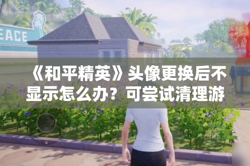 《和平精英》头像更换后不显示怎么办？可尝试清理游戏数据  第1张
